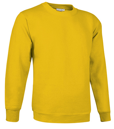 SUDADERA FELPA CUELLO REDONDO - Imagen 16